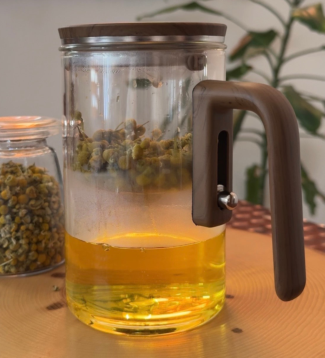 Filtration Glass Tea Pot